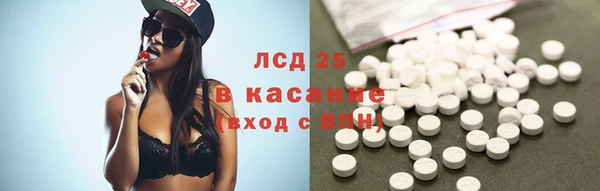 spice Аркадак