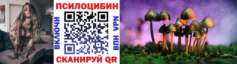 цены наркотик  Кыштым  KRAKEN сайт  Псилоцибиновые грибы мицелий 